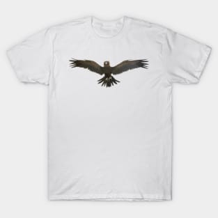 Australian Eagle T-Shirt